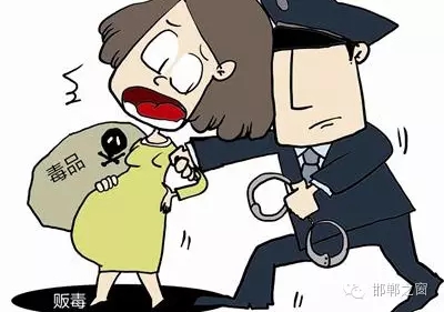 2016年初，涉縣警方查獲一起涉毒案件，鑒于該案涉案人員多、毒品交易量大，涉縣警方立即將案情上報，被公安部確立為“目標-2016-314”號毒品案件。涉縣警方成立專案組，經過多方追查，先后抓獲團伙人員13名，繳獲毒品5349克，并查明上線“濮姐”的真實身份為陳某。